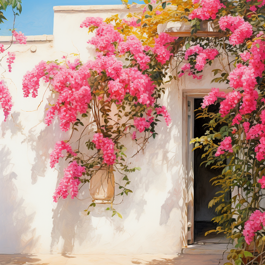 Bogainvillea and White Wall | Canvas Wall Art